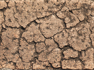 crack brick texture