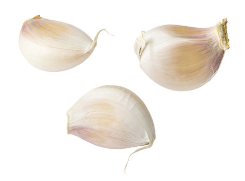 Garlic isolated on white background (clipping path included)