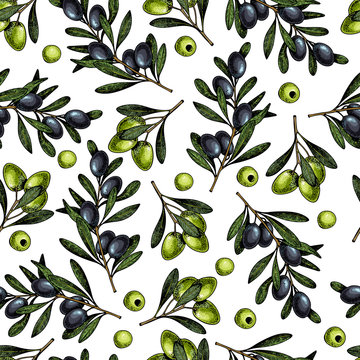 Vector hand drawn seamless pattern of olive branches. Natural cosmetic products. Hair care oils. Farm vegetables. Engraved colored art.