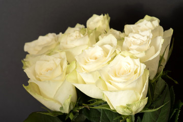 Frische, weisse Rosen