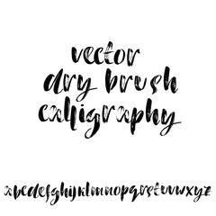 Hand drawn elegant calligraphy font. Modern brush lettering. Grunge style alphabet. Vector illustration.
