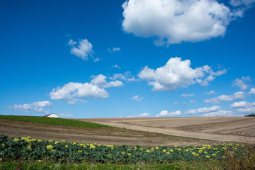 丘陵畑作地帯と青空
