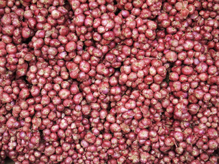 Red onion