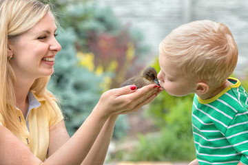 Young mother and young son holding a small duckling.A boy kisses the duck.