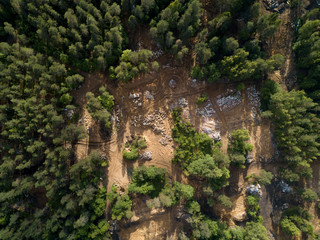 Aerial view of forest pollution
