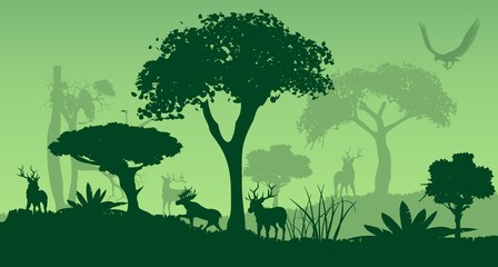 Deer sihlouette in forest, forest wildlife landscape silhouette