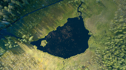 Aerial view of the lake in the forest