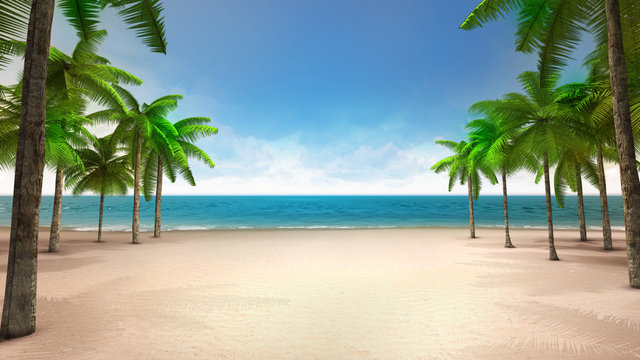 sandy beach with sea and tropical palms
