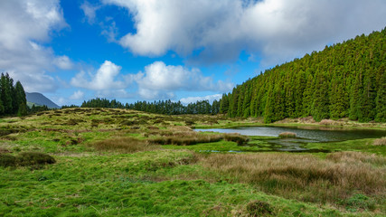 Fototapeta premium Lagoa do Negro (Black Lagoon) in Terceira Island, Azores, Portugal