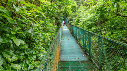 Fototapeta na wymiar Green hanging bridge in Rainforest of Monteverde