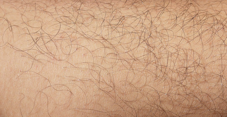 Mans hairy leg