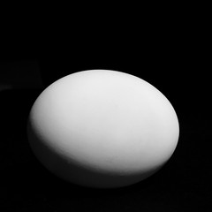 White egg isolated on black