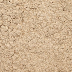 crack in the ground
