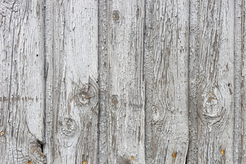 Naklejka premium The white wood texture with natural patterns background