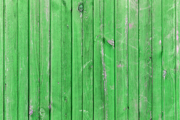 The old green wood texture with natural patterns