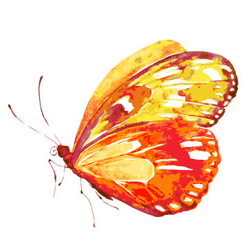 beautiful yellow  butterfly,watercolor,isolated on a white