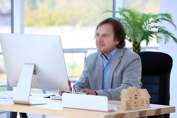 Positive mature man working with computer in office