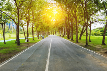 Obraz premium The garden walkway is located in the middle of the big city