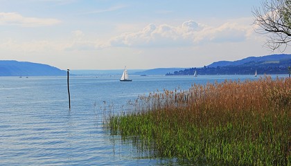 schöner Bodensee II