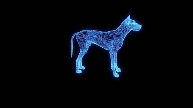 Dog in Hologram Wireframe Style. Nice 3D Rendering
