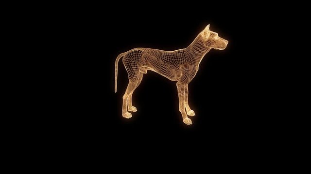 Dog in Hologram Wireframe Style. Nice 3D Rendering
