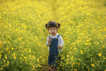 Fototapeta premium Cute little laughing girl or asian little girl walking in the field of yellow flowers in a sunny summer evening, at the sunset with copy