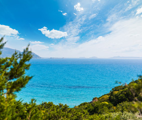 Fototapeta na wymiar Green plants and blue sea in Sardinia