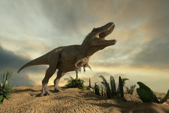 3D Illustration of silhouette of a tyrannosaur dinosaur in the sunset  render