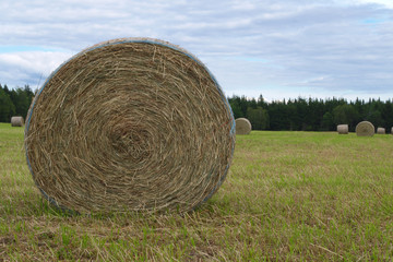circle hay bales country farm field meadow landscape agriculture panorama rural pasture