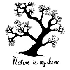 Hand drawn vector trees are hand drawing a doodle style. Nature is my home.