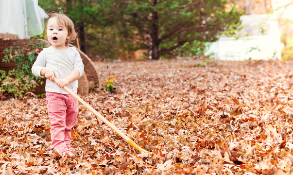 Happy toddler girl raking leaves in autumn