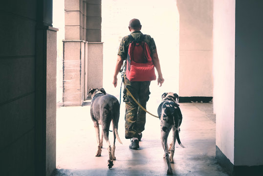 The image behind the soldiers walking on the street with two dogs.