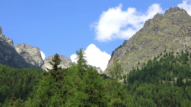 Panorama di montagna