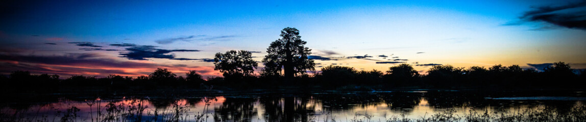 Abendstimmung Planet Baobab Gweta