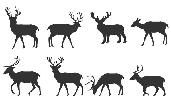 Silhouette deer set