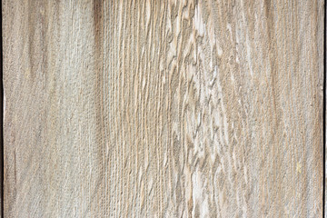Fototapeta premium closeup cedar wood with beautiful pattern