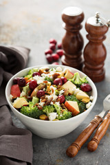 Fall salad with apple and cranberry