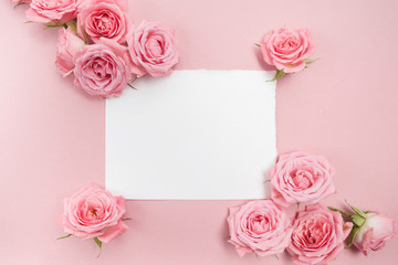 Pink roses on pink background with space for text. Flat lay, top view