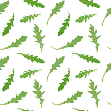 Seamless pattern with fresh green leaves of rucola (arugula, rocket salad). Vector seamless pattern, hand drawn illustration. Rocket salad  background.