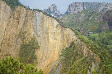 Amazing landscape with ocean, cliffs, beach, greens and flowers in summer day; wallpaper of the Bay of Biscay
