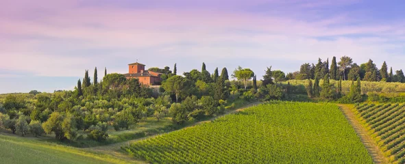 Fototapete Weingut im Abenrot in der Toskana, (Chiantigebiet) © Composer