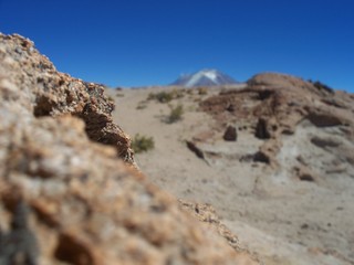 Fototapeta na wymiar focus bolivie montagne nature roche