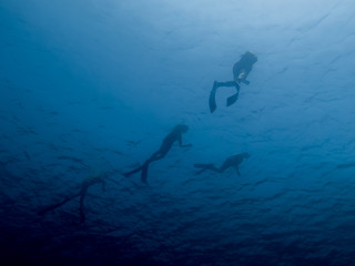 Free divers in blue water