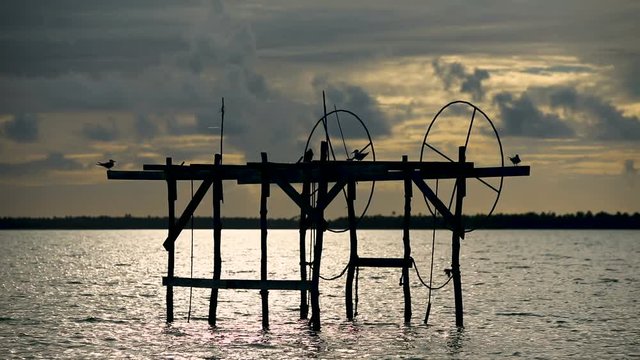 oiseaux perch&eacute;s sur ponton &agrave; bateau (p&ecirc;che)