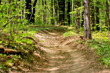 road less traveled on