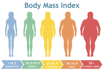 Body mass index vector illustration from underweight to extremely obese. Woman silhouettes with different obesity degrees.  - obrazy, fototapety, plakaty