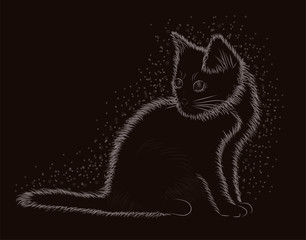 Little kitten, black and white card, vector illustration