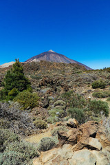 Nationalpark El Teide, Teneriffa, 2017