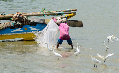 Fischer bei der Arbeit auf Sri Lanka