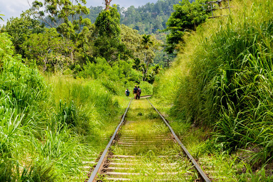 Auf den Gleisen Sri Lankas